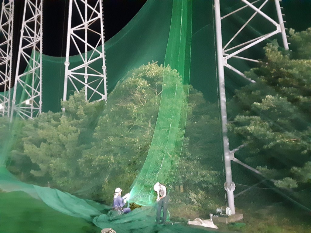 帯ネット交換工事