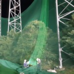 帯ネット交換工事