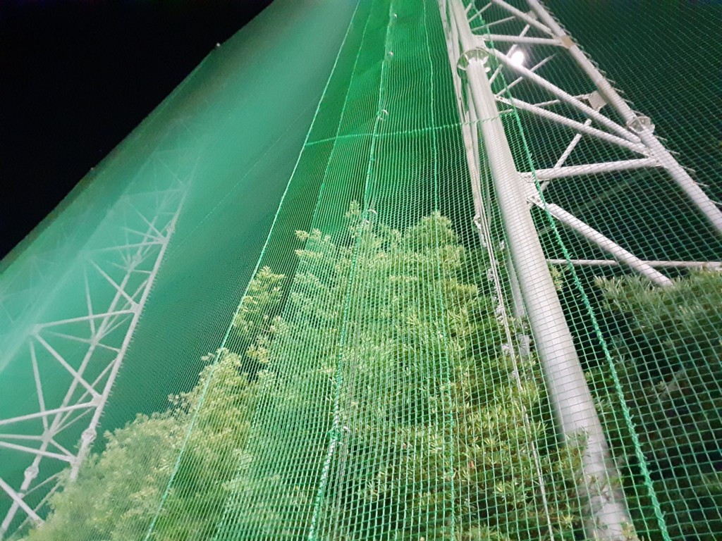 帯ネット交換工事