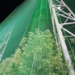 帯ネット交換工事