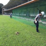 打席手前防球ネット設置工事