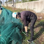 練習場ネット張替工事