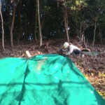 スーパーＵＶシート貼り工事