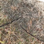 ワイヤー交換工事