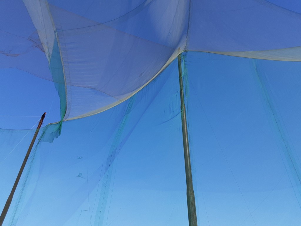 コンクリート柱建替え他工事