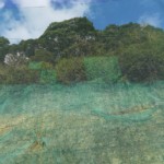 天タレネット補修工事