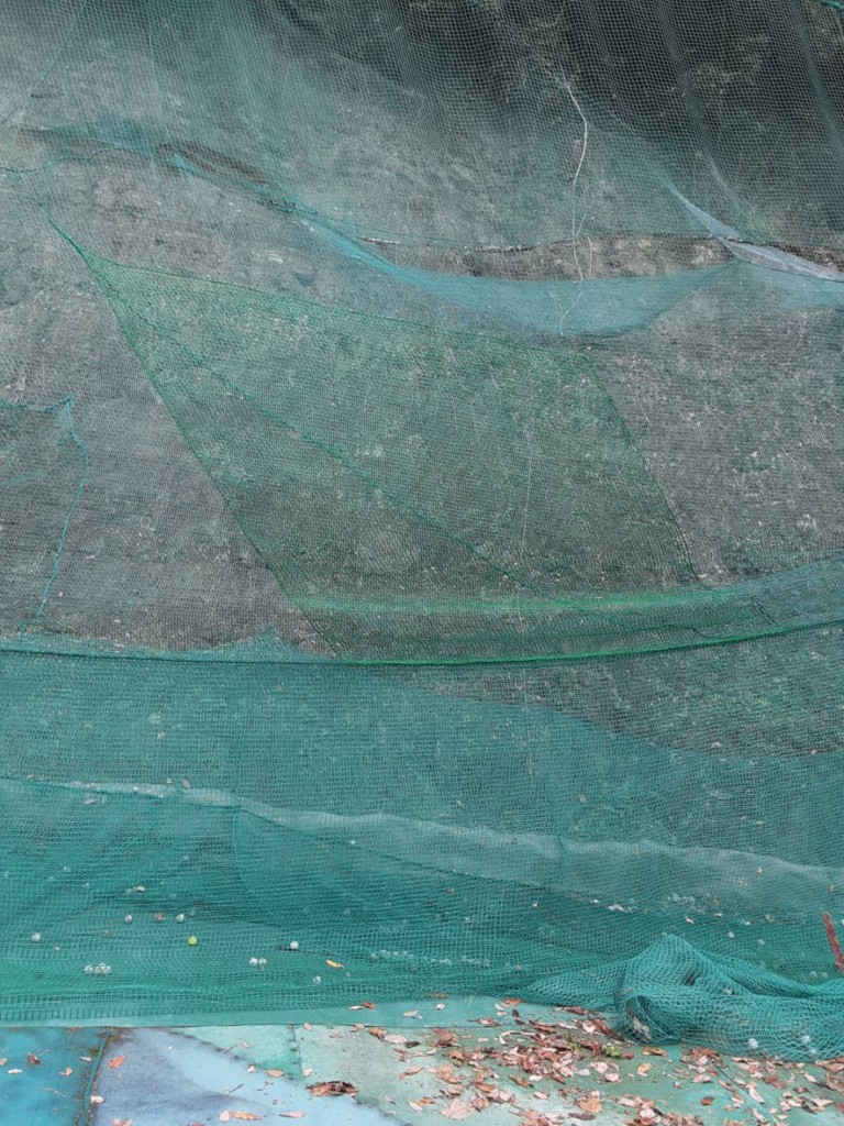 天タレネット補修工事