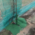 アンカー復旧工事