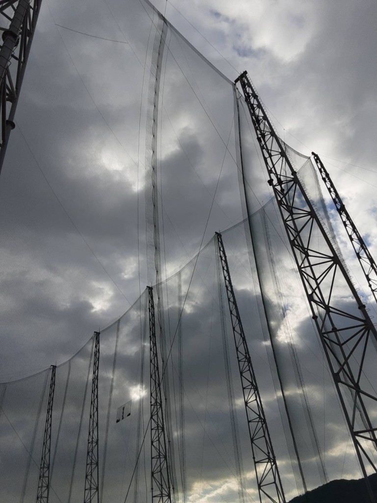 帯ネット交換工事