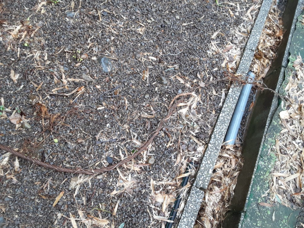 ガイドワイヤー交換工事