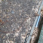 ガイドワイヤー交換工事