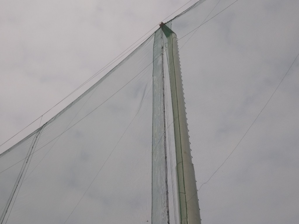 ワイヤー交換工事