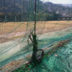 ネットワイヤー交換工事