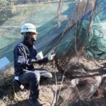 ネット増設工事