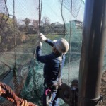 ネット増設工事