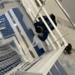 落下防止ネット設置工事