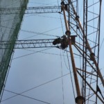 ブレスワイヤー設置工事