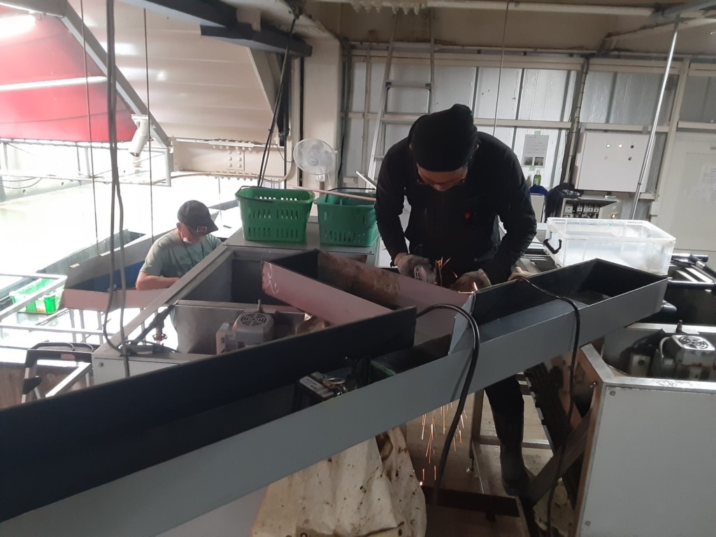 送球シュート入替工事