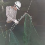 帯ネット交換工事