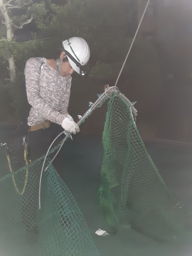 帯ネット交換工事