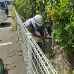 防球ネット解体工事