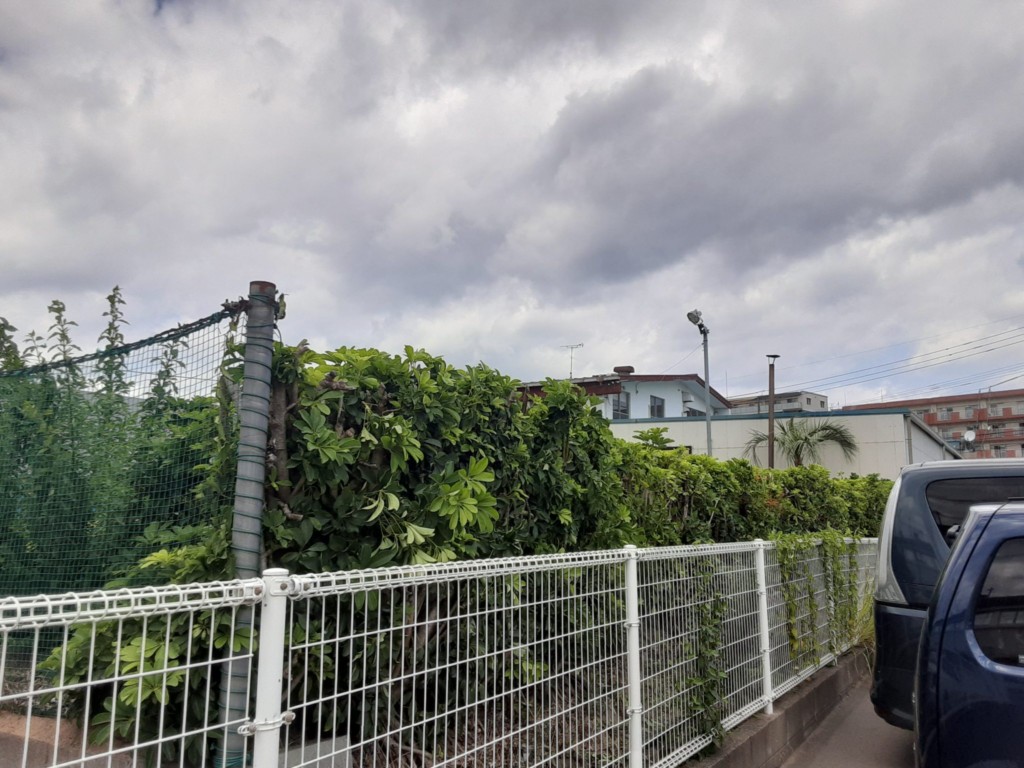 防球ネット解体工事