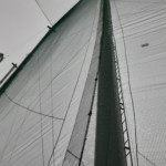 帯ネット入替工事