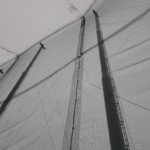 帯ネット入替工事