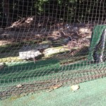 ネット補修工事