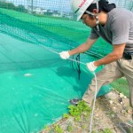 ワイヤー交換工事