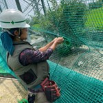 ネット補修工事