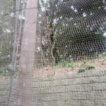 ネット補修工事