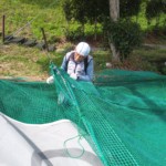 天井ネット交換工事