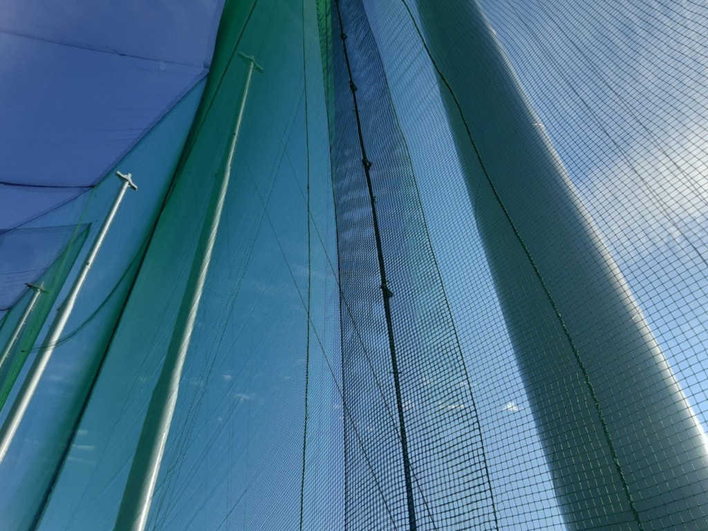 帯ネット交換工事