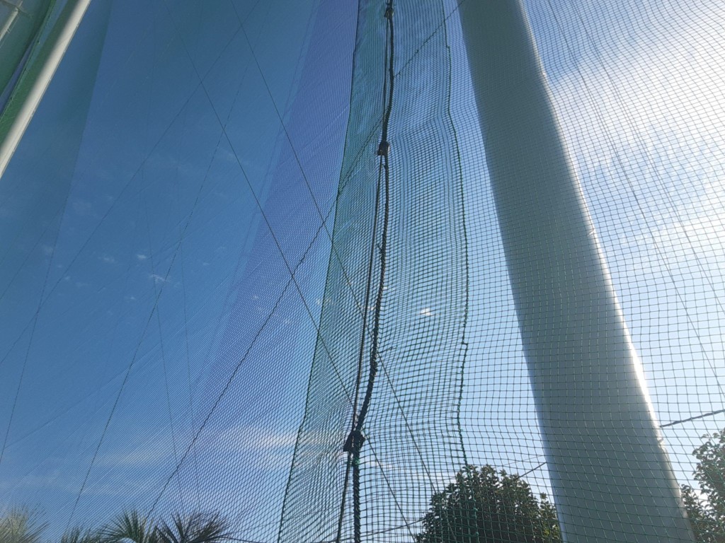 帯ネット交換工事