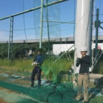 帯ネット交換工事