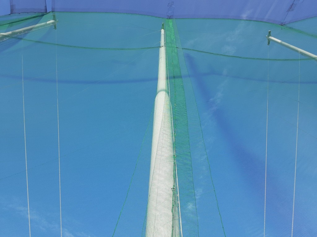 帯ネット交換工事