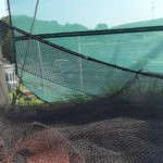 ネット・ワイヤー復旧工事