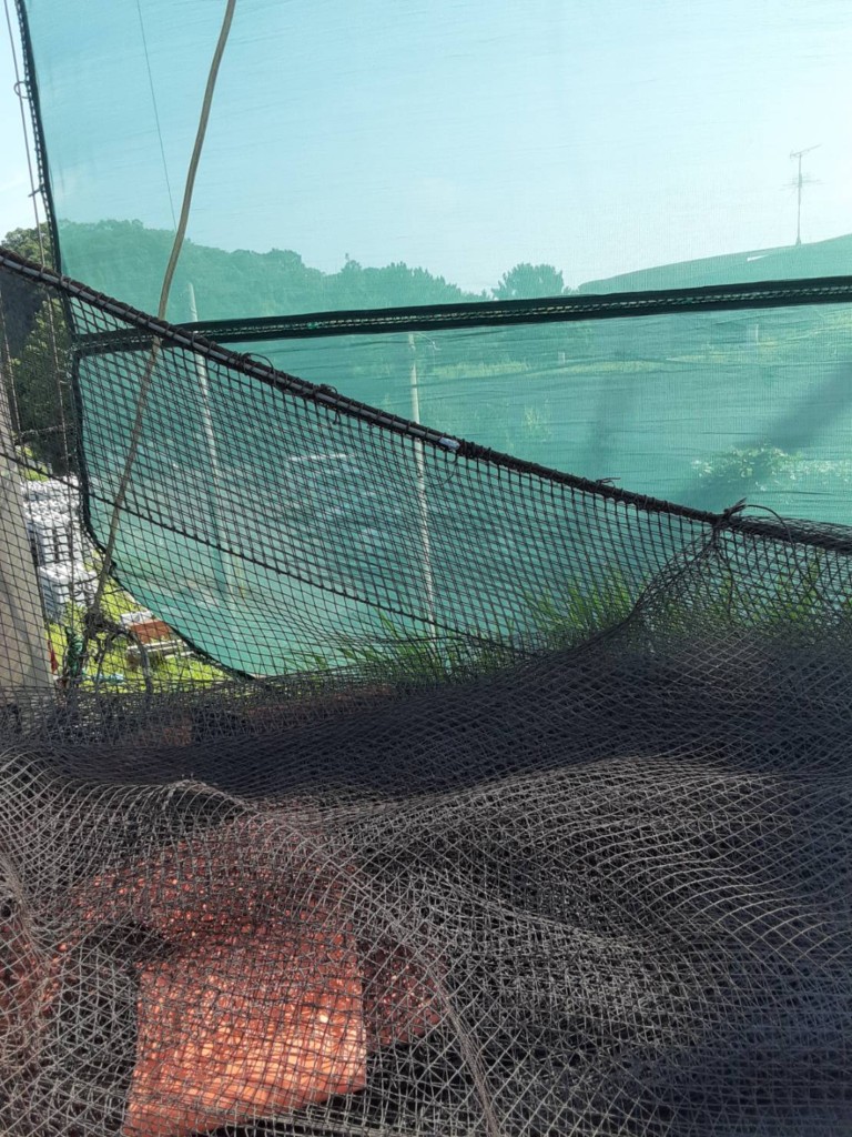 ネット・ワイヤー復旧工事