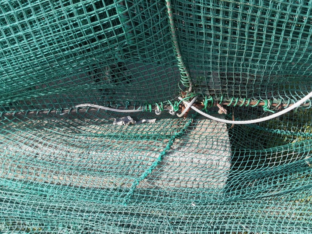 ワイヤー交換工事