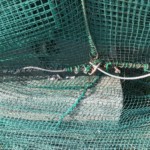 ワイヤー交換工事