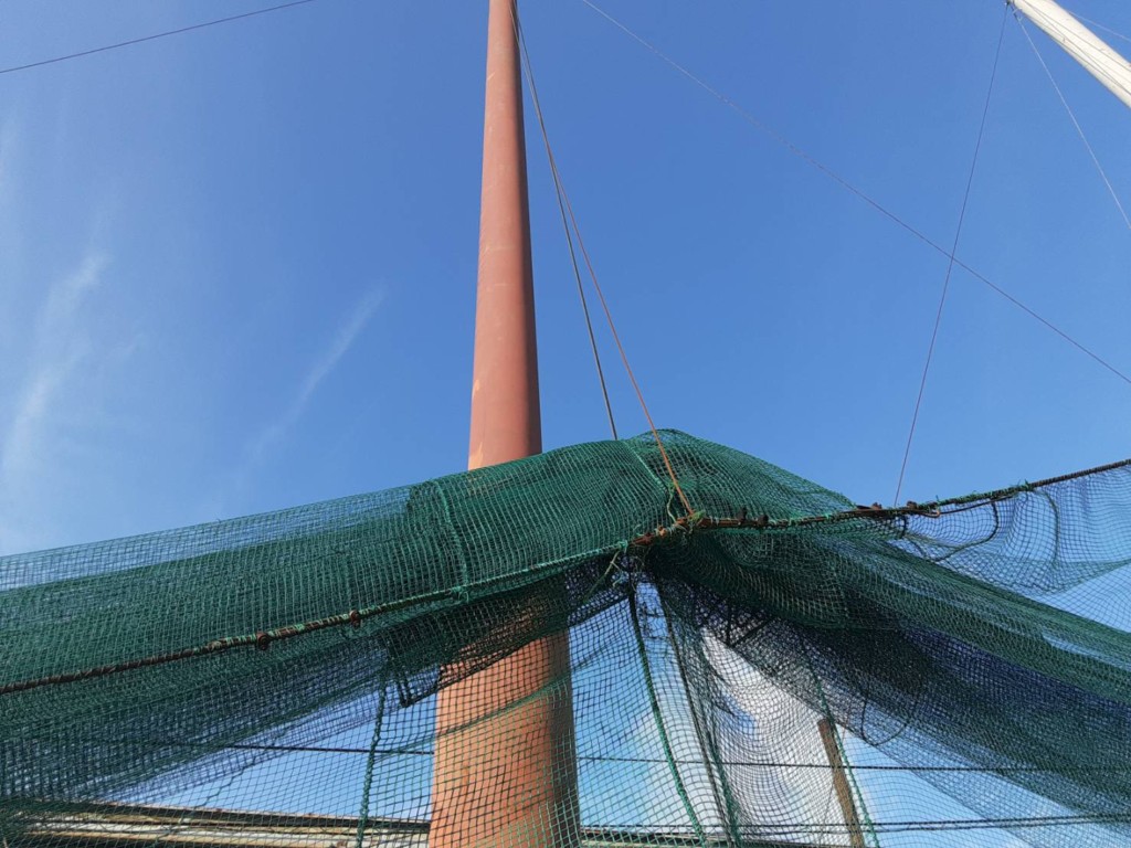 ワイヤー交換工事