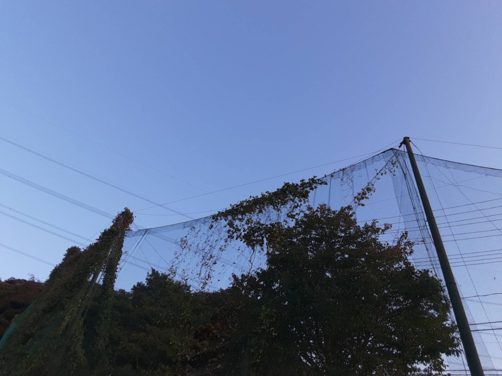 ワイヤー交換工事