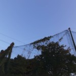 ワイヤー交換工事