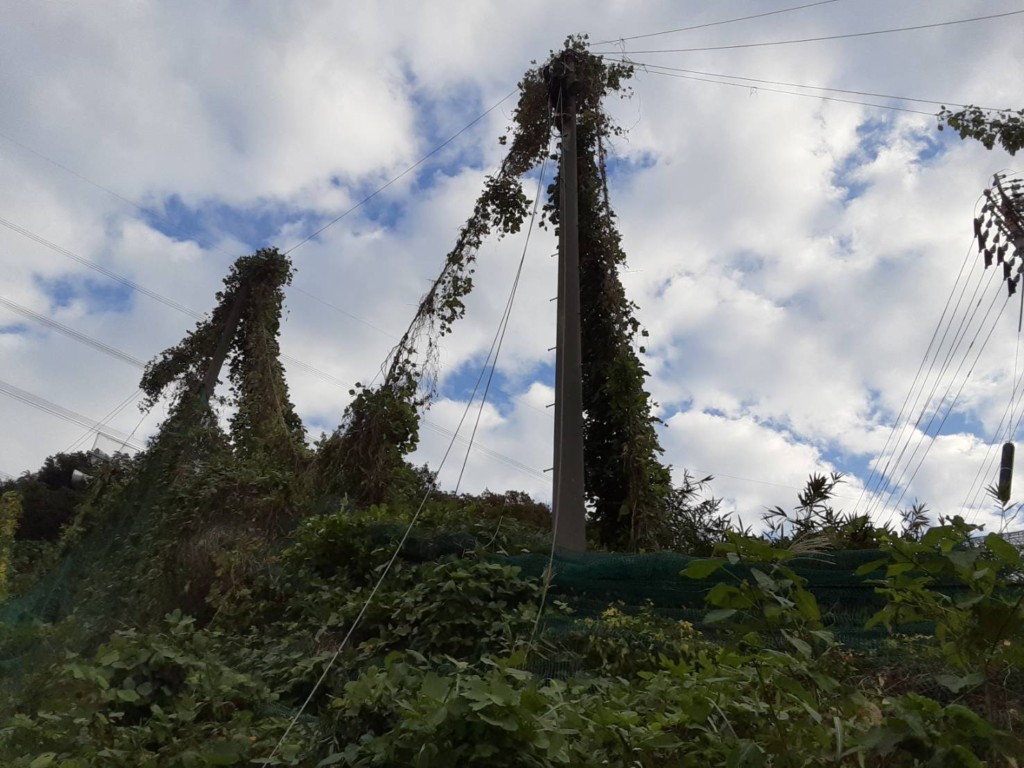 ワイヤー交換工事