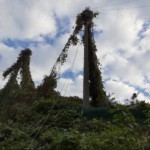 ワイヤー交換工事