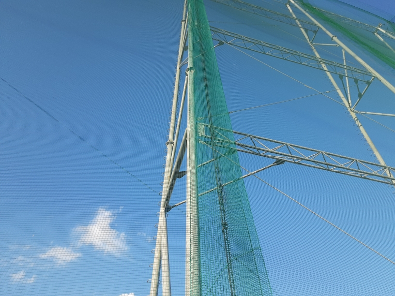 帯ネット交換工事