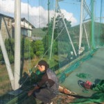 帯ネット交換工事