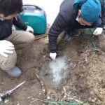 アンカー復旧工事