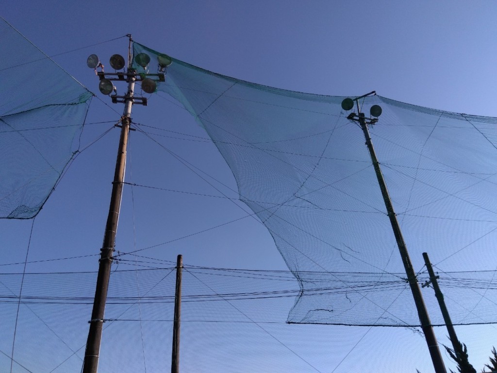 固定ネット一部張替工事